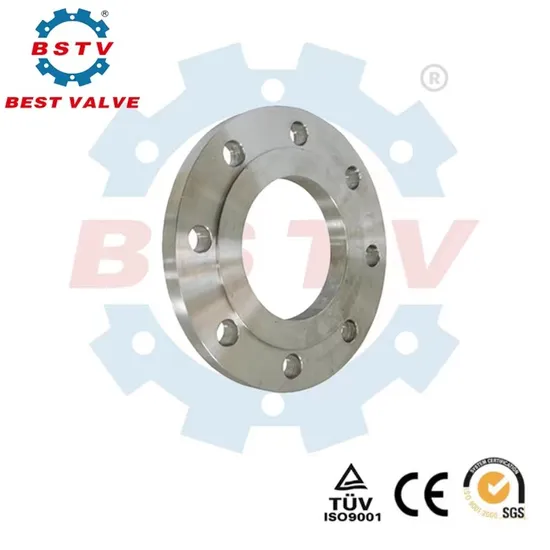 Bstv F304 F316 F304L F316L F51 F55 Stainless Steel Forged Flat Slip on Welded Neck Raised Face Flange Blind ANSI B16.5 150lb 300lb 900lb JIS B2220 10K 20K