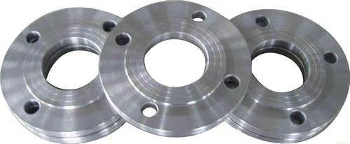 Forged Stainless Steel Flange Plate