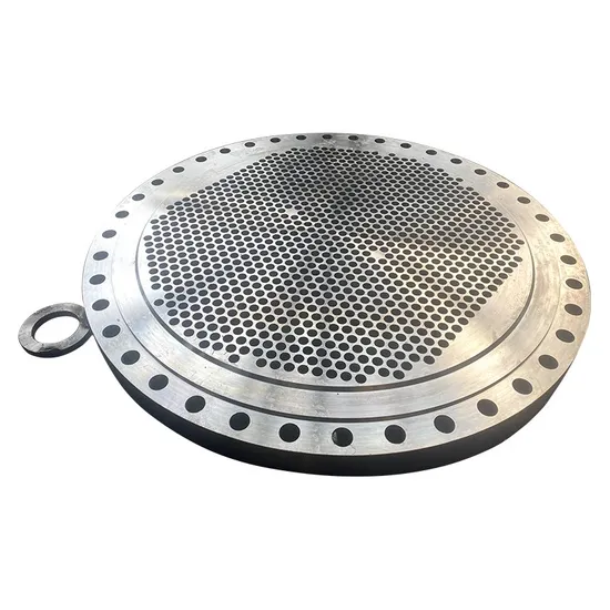 304 316 Customized Non-Standard Large Diameter Forged Stainless Steel Tube Sheet
