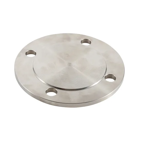 Forged Stainless Steel Thread Flange (YZF-M016)