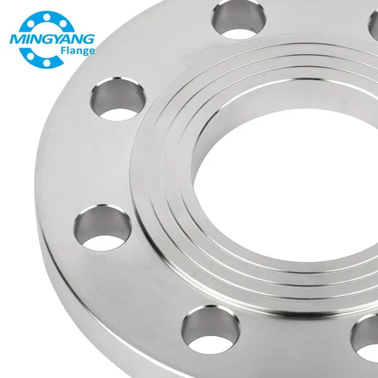 316 DN80 High-Quality Flat Welding Plate Flange Factory Price