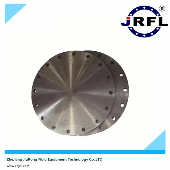ASME ANSI B16.5 DIN En1092 GOST BS Forging Fitting Stainless Steel Pn10 16 Weld Neck Flat Plate Pipe Flange