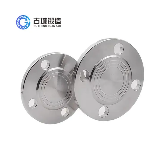 ANSI ASME B16.5 ASTM a 182-F 316L Stainless Steel Blind Flange