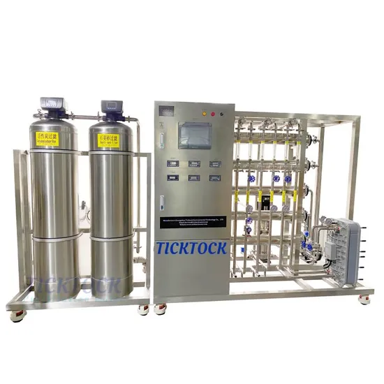 Pure Water Treatment Equipment EDI Filter Machine for Mineral with Solar Power