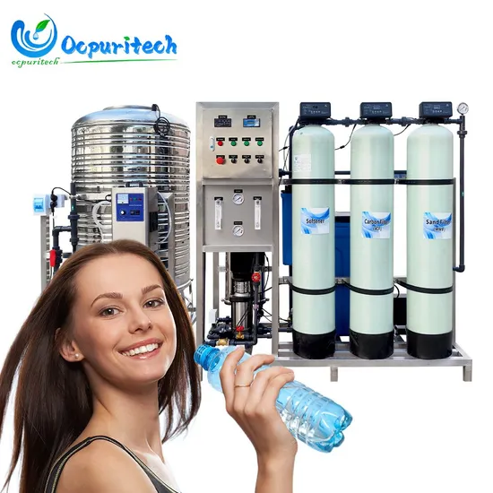 500 Lph RO System Reverse Osmosis Water Treatment Equipment Purification