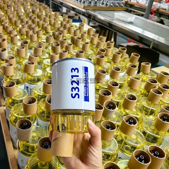 1002801 32/925869 Leikst Auto Fuel Filter Assembly 612600081334 47509565 Re508633 35-809097 Fuel Filter Marine Fuel Water Separator Replacement S3213 Re546336