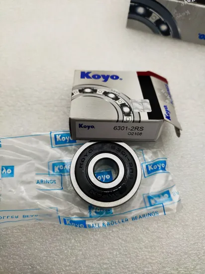 NSK Koyo IKO NTN NACHI Snr Radial Ball 6001 6002 6200 6201 6202 6203 6204 6205 2RS 2z Zz 2rsr DDU Llu 6200-2RS 6200-2z 6200-Zz 6200zz Deep Groove Ball Bearing