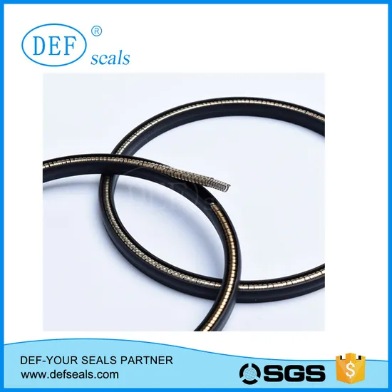 Auto Pump Hydraulic Seal Peek PTFE Spring Energized Seals