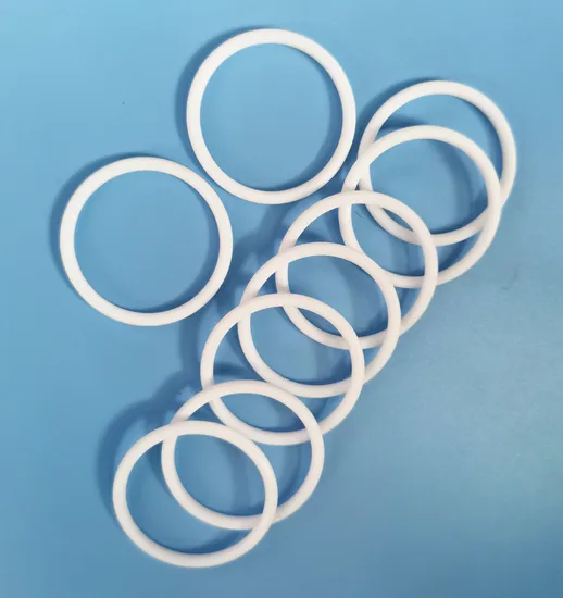 PTFE O Ring with Customized Sizes