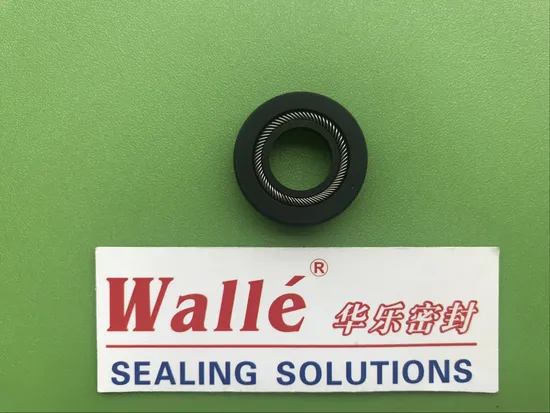 PTFE Spring Energized Seals for Petroleum and Chemical Equipment