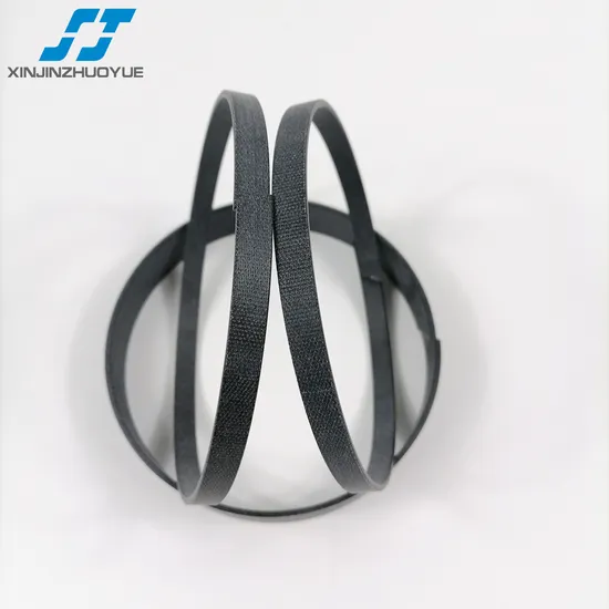 Excavator Hydraulic Cylinder Phenolic Resin Seal Wr/ Wear Ring