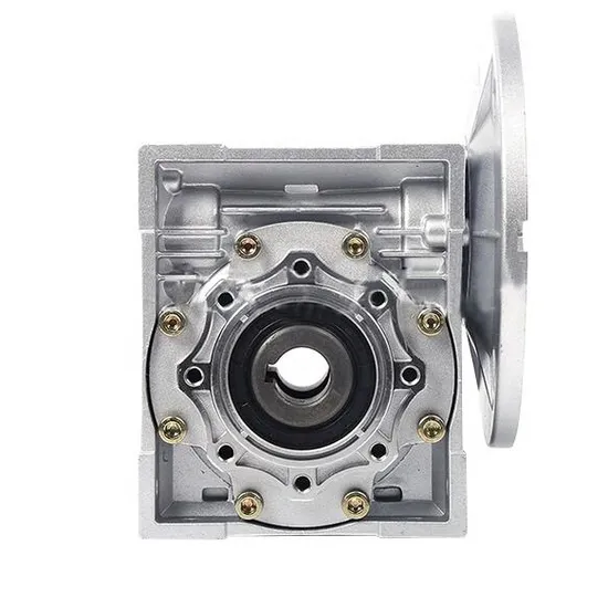 RV Double Worm Gearbox with AC Electric Motor 380V 50Hz