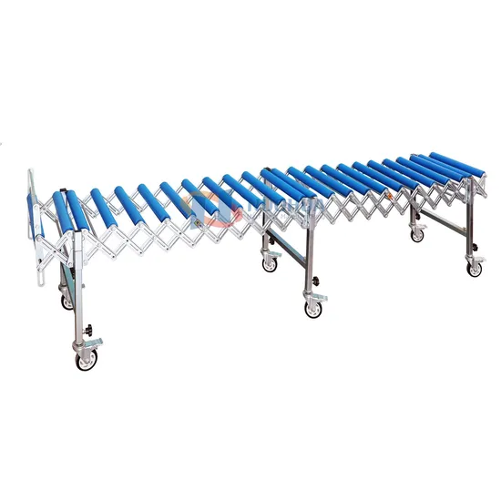 Direct Sale Expanded Roller Conveyor Blue PP Conveyor for Carton Conveying