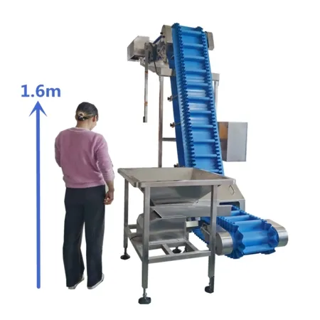 Inclined Belt Conveyor for Fruit Processing Line