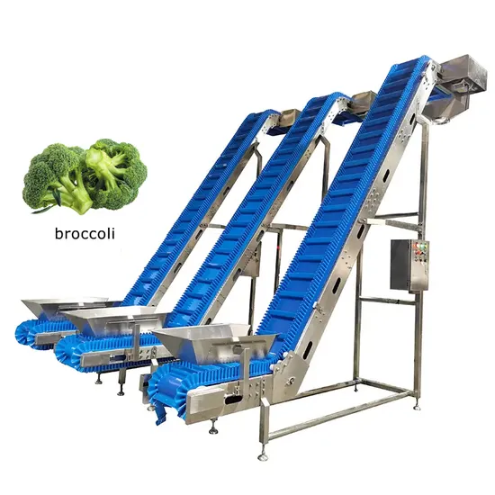 Tailored Industrial Stainless Steel 304 Frame PVC Belt Chain Plate Conveyor Inclined Elevator for Snack Food Fruit Vegetable Production Line with Good Price
