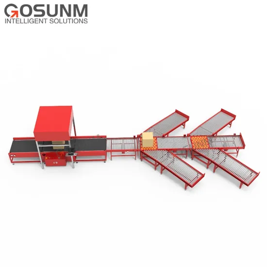 Package Sorting and Printing Label Automaticaly Dws Sorting System High-Speed Parcel Dimension Weighing and Scanning Sorting Equipment, Parcel Sorter Machine