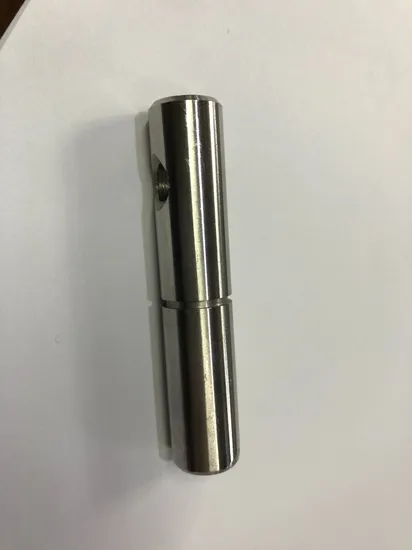 Transmission Gear Shaft Customized Gear Shaft for Reducer