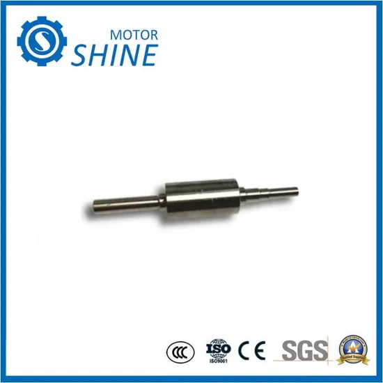 High Precision Stainless Steel Gear Shaft, CNC Machined Part