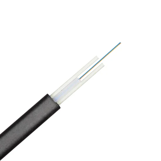 Shenzhen Cheap Single Mode Multi Core Two 4 8 12 Core 1fo 2fo Tube Drop FTTH Fiber Optical Cable for Outdoor Sale