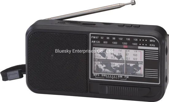Tw316bts Mini Portable Radio with Rechargeable Battery LED Light Stereo Wireless Link Charge Slot Outdoor FM Radio