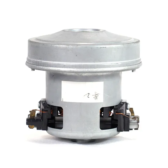 1200W/1600W/2200W Home Appliance Parts Electric Dry and Wet Vacuum Cleaner AC Brushed and Brushless Motor