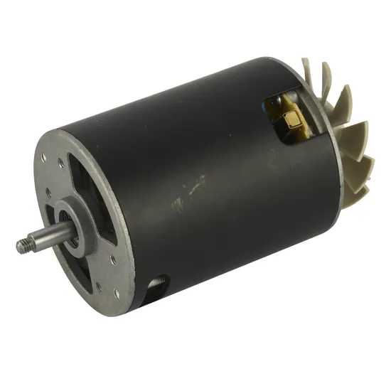 DC Motor BLDC Motor D78 Motor Electric Motor Electrical Engine DC7832 Voltage Customized 100-240VDC with Magnetic Steel Sheet for Juicer/Blender