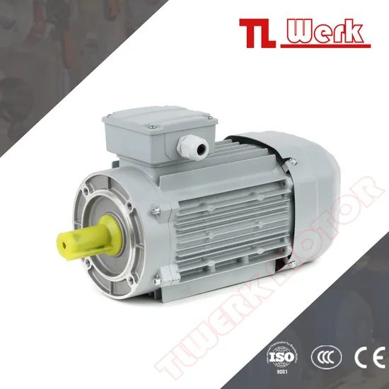 Modern High Torque Ec Inverter Motor with AC Drive