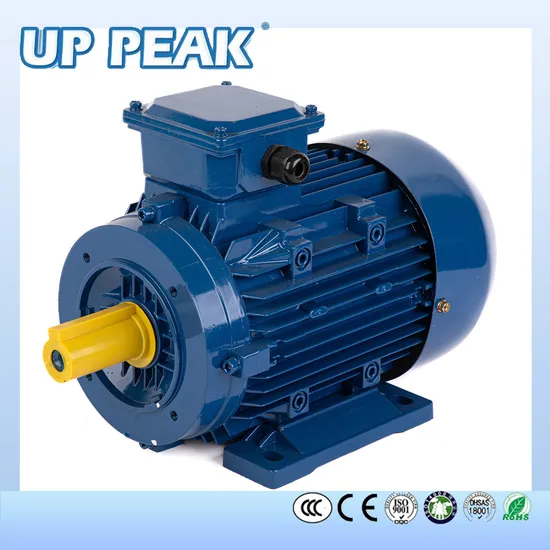 Ms Series High Efficiency Three Phase Asynchronous with Aluminium Housing Electrical Motor