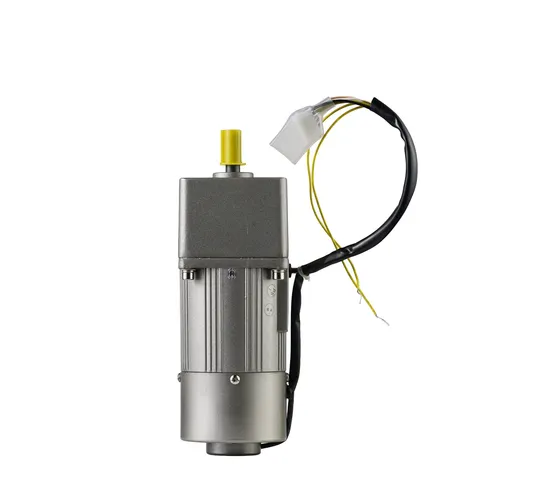 High-Performance 110V 120W Customized AC Gear Motor