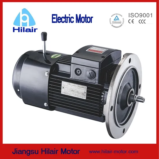 Premium High Efficiency Three Phase Induction AC Electric Asynchronous Motor for Rksf Reducers