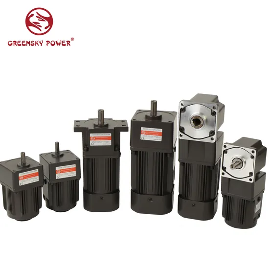 High Torque Low Rpm 6W~370W 1-Phase Induction AC Electric Gear Motor
