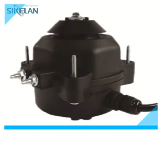Sikelan or OEM ISO9001 Approved Standard Export Package High Voltage Electric Motor