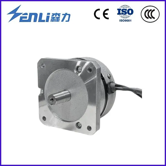 Reliable Customized Electric DC Brushless Motor with Encoder / Worm Gear Reducer/ Brake