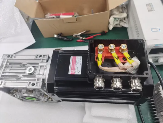 High Power 1800W-3000W BLDC Motor with Nmrv Worm Reducer Electric Vehicle Motors
