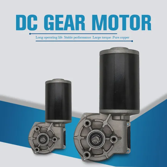 Hot-Sale Big Torque 12V-48V DC Worm Gear Motor for Car Wiper/Medical Device/Window Opener Motor