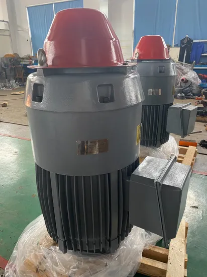 Tefc IP54 IP55 Hight Voltage 1kv 6kv Vertical Hollow Shaft Vhs Motor