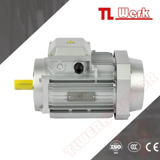 Ys/Ms Ye3 Ye4 B14 2.2kw Three Phase Asynchronous Machine for Hoisting