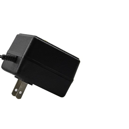 Universal AC-DC Power Adapter 500mA