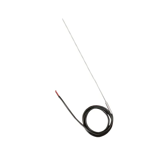 Techunion Oven Thermocouple Rtd PT100 Temperature Sensor CE ISO