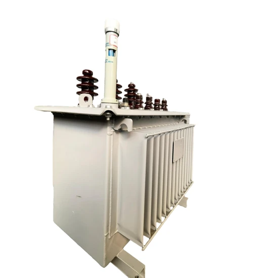 1000kVA Transformer Step up Transformer S11 Series Oil Immersed Transformer