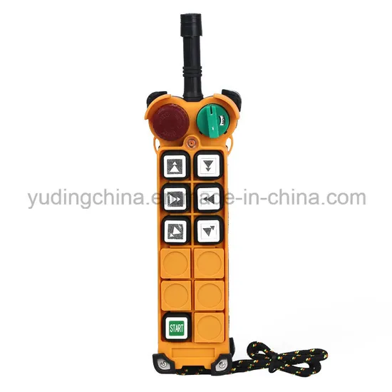 Overhead Crane Wireless Remote Control for Industrial Remote Control/Radio Remote Control F24-6D for Crane