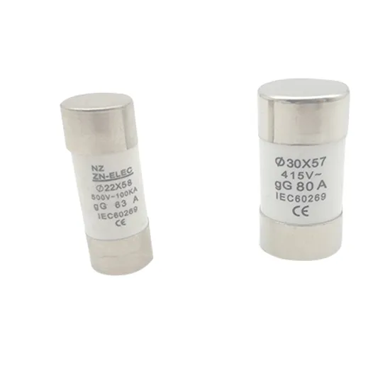 Customized Logo Brand SAA Aus 100A Cylindrical Electronic Cartridge Fuses Link