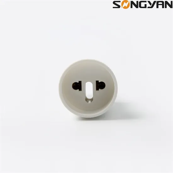 Songyan Factory Price Universal Adaptor Plug Converter EU to Us 220V 250V Power Travel Adapter