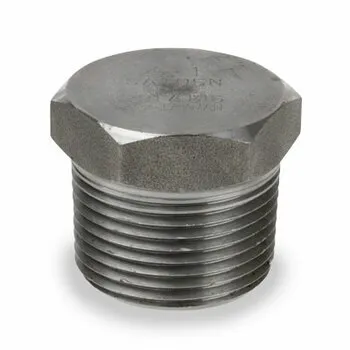 Ss 304/316 Hex/Square/Round Plug BSPT/NPT