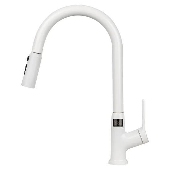 HJ-C8510W Stainless Steel Kitchen Faucet with Temperature Display