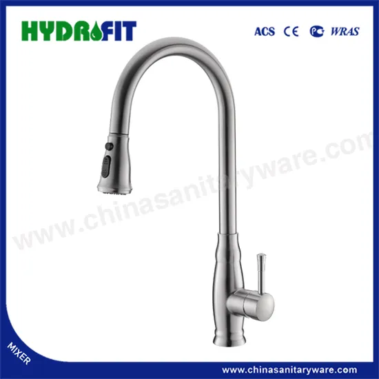 Sanitary Ware 304 Stainless Steel Kitchen Faucet Pull-out Sink Mixer (FT1105)