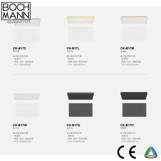 ABS Shower Head Square Rainful Customized Color