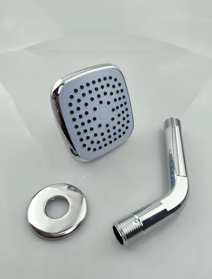 Sanitary Wares Bathroom Accessories ABS Head Shower with Arm ABS and Flange