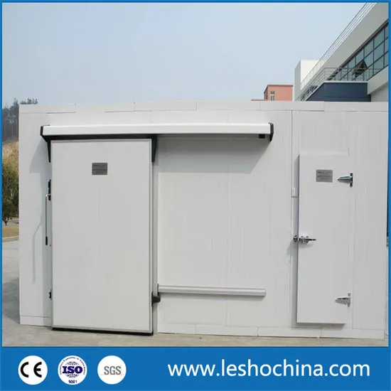 Chinese Manufacturers Make Cold Storage Doors / Cold Room Door for Sale Stainless Surfacer Cold Room Door Manual Sliding Door