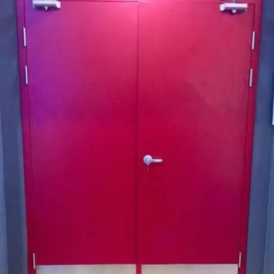UL Listed Steel Fire Door for Escape Passage (CHAM-ULSD001)